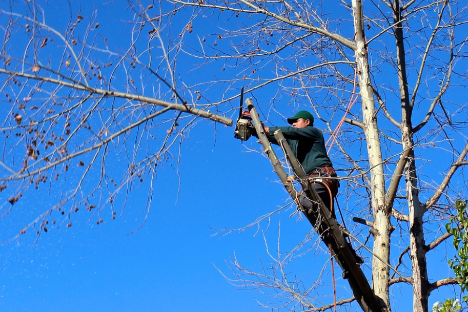 Picture of a happy customer calling Folsom Tree Service