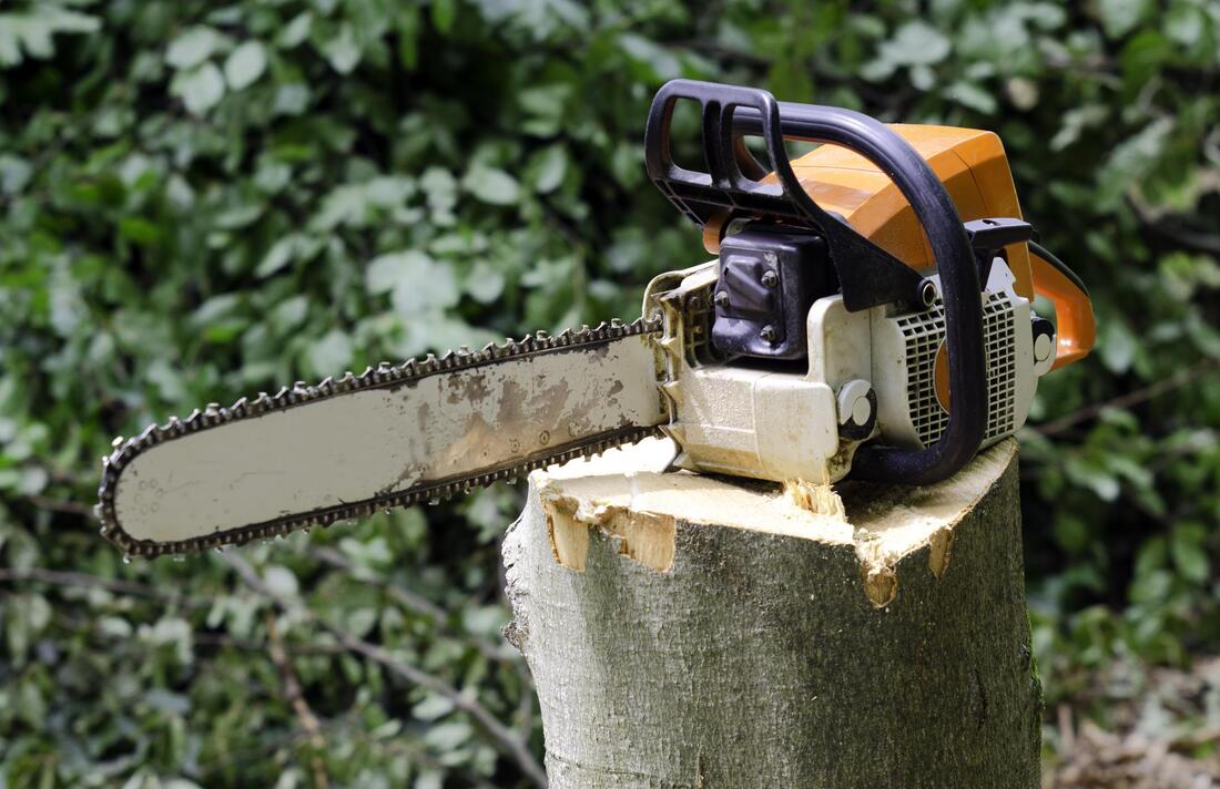Picture of a chainsaw used for loomis tree service